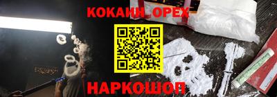 гидра Краснознаменск