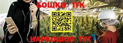 СК Краснодар