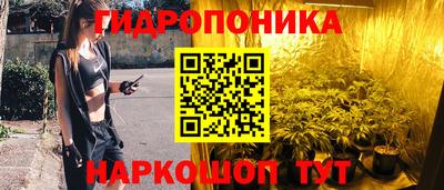 гидра Краснознаменск