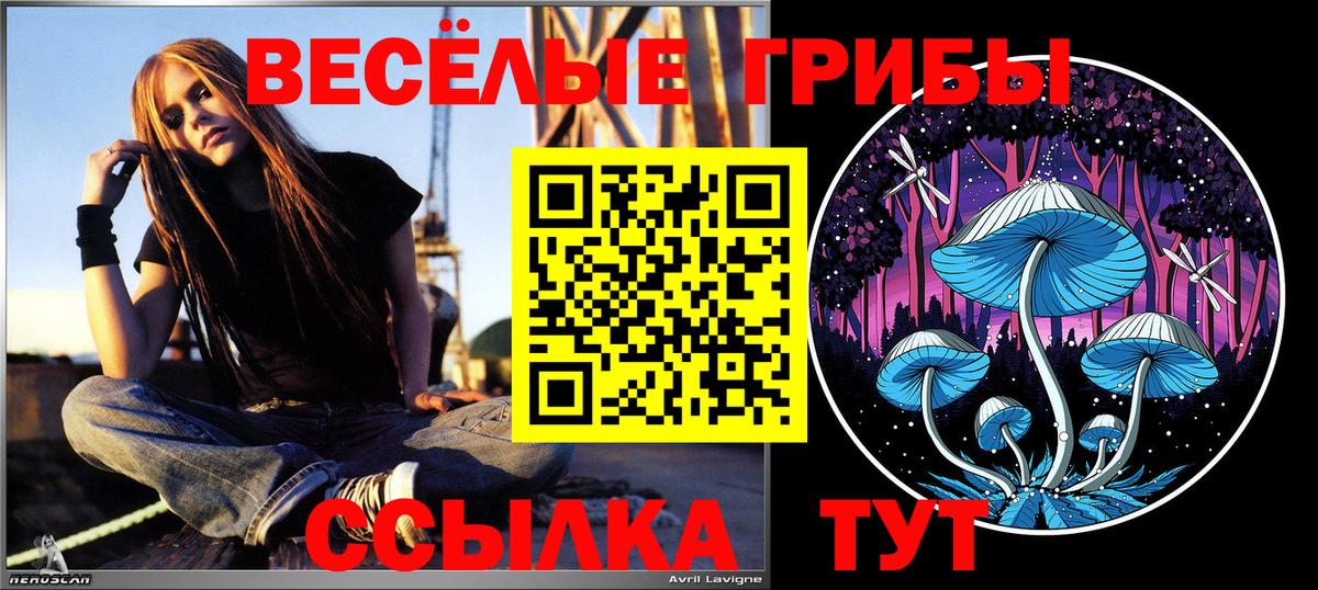Галлюциногенные грибы GOLDEN TEACHER Касимов