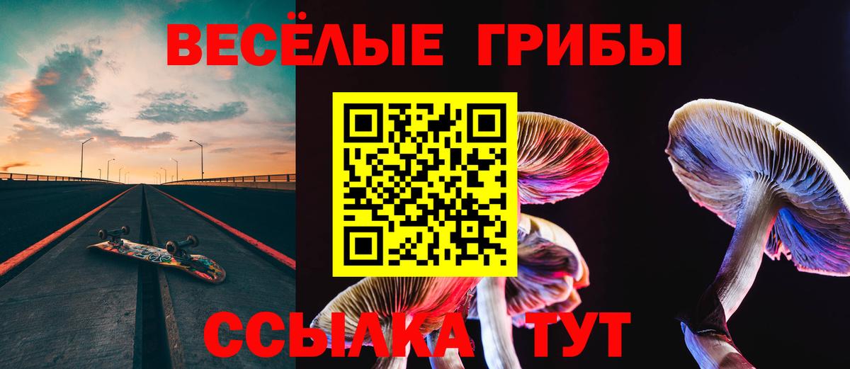Псилоцибиновые грибы Magic Shrooms  Вход с VPN  Касимов 